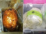 Woman 'caught bringing heroin worth disguised as  chickens into JFK'
