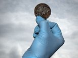 Dutch shipwreck reveals coins sewed into clothes of crew