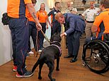 Harry makes pals with ex-soldier´s dog on Netherlands…