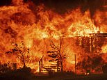 Wildfires scorching homes, land _ and California's budget