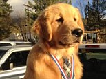 Dog is elected mayor of Californian town – and has been given his own personalised pickup truck