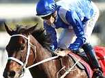 Champion thoroughbred Winx takes home 27th consecutive win at Royal Randwick Racecourse