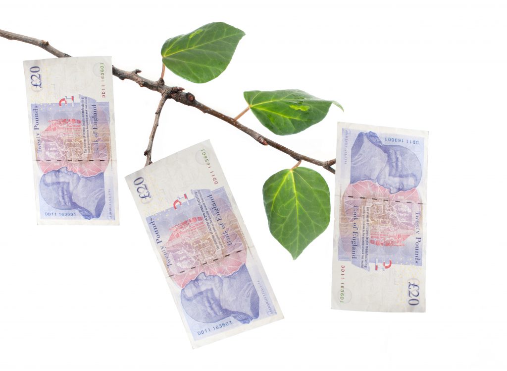 A Hidden Road To Recovery? The Magic Money Tree We Had All Along