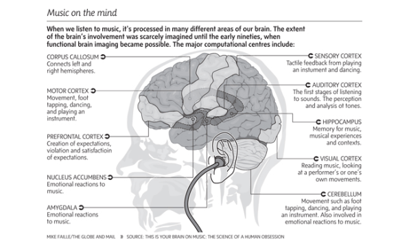 What Music Does to Your Brain
